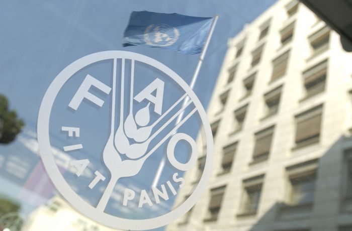 Албанская делегация прибыла в Турцию для участия в заседании ФАО 
