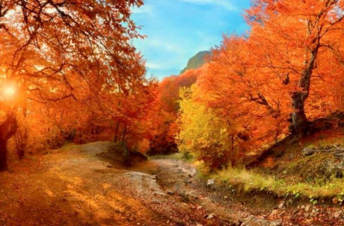Фотоотчет – отдых в Албании осенью в горах
