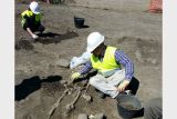 Археологическая находка в Албании привела к заморозке строительства газопровода
