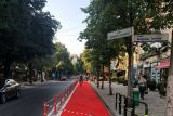 Столица Албании эффективно борется со смогом с помощью велосипедных дорожек