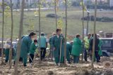 Как будет выглядеть Большой парк Тираны после обновления?  