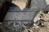 В албанском Дурресе обнаружена редкая мозаика возрастом 1,9 тысячелетия